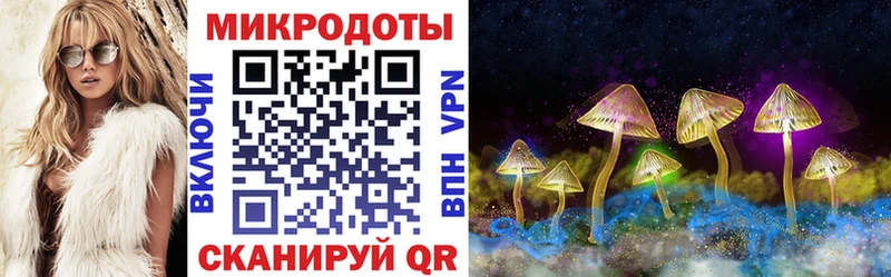 Галлюциногенные грибы мухоморы  купить  сайты  Владивосток 